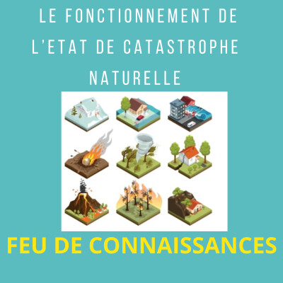 Le fonctionnement de l'état de catastrophe naturelle cover