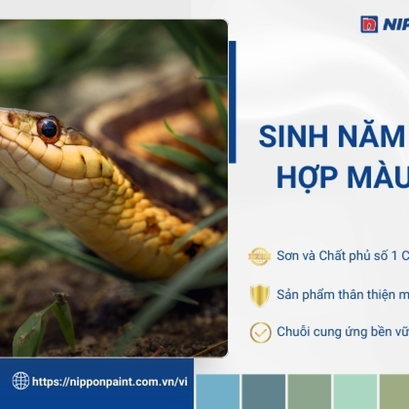 2001 hop mau gi episode artwork