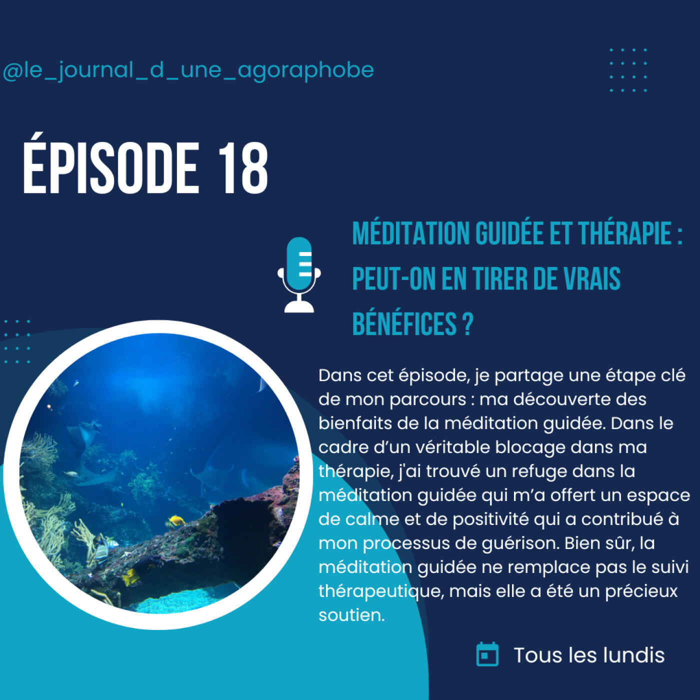 Le journal d’une agoraphobe