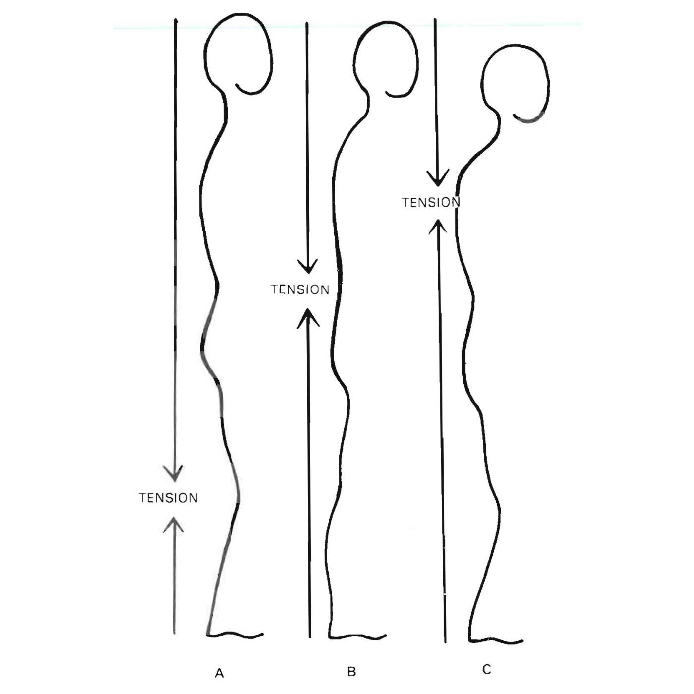 Le BodyMind - A l\'écoute de notre corps