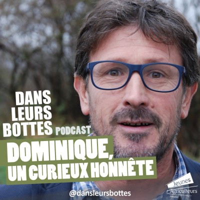 Dominique, un curieux honnête cover