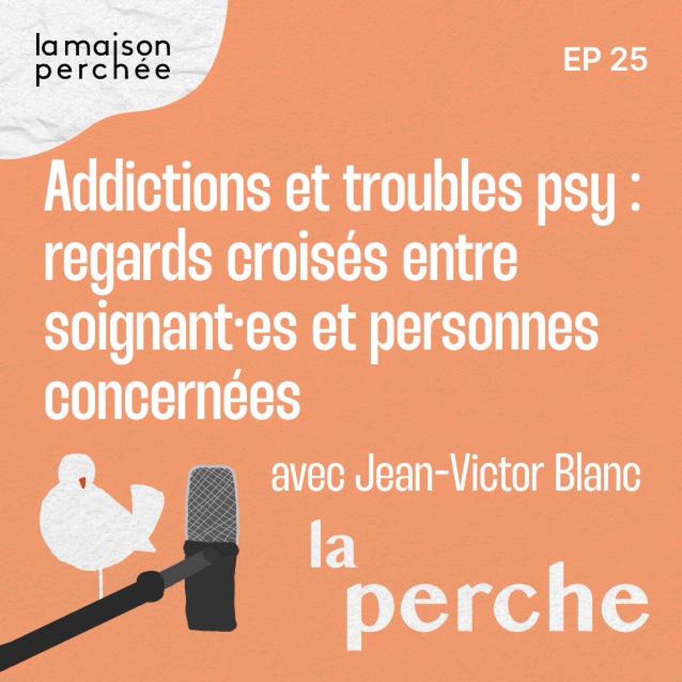 Addictions et troubles psy : regards croisés entre soignants et personnes concernées Addictions et troubles psy : regards croisés entre soignants et personnes concernées