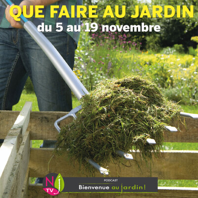 QUE FAIRE DANS LE JARDIN DU 5 AU 19 NOVEMBRE ? cover