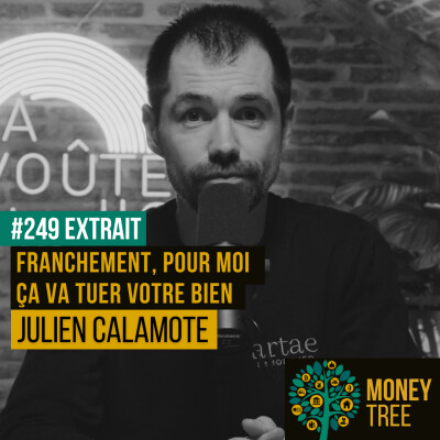 "Franchement, pour moi, ça va tuer votre bien" [Extrait Capsule] cover