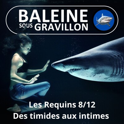 S04E12 Requins 8/12 : Leurs "bulles" sociales, du timide à l'intime (Steven Surina) cover