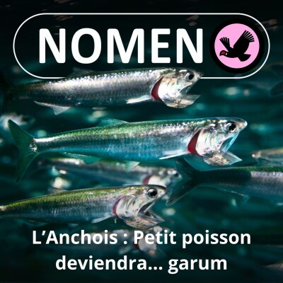 S02E27 L’Anchois 1/2 : Petit poisson deviendra ... garum, l'étrange sauce dont raffolaient les Romains ! cover
