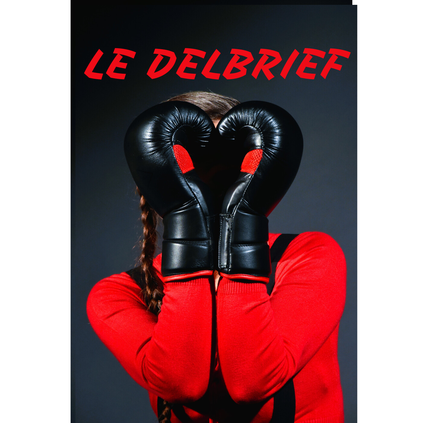Le Delbrief