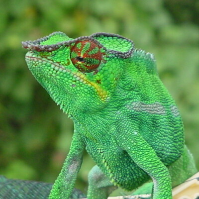 Episode #6: Understand and Use GET cover