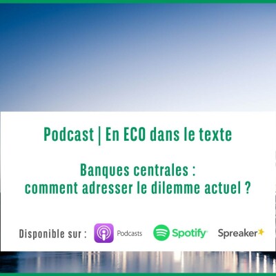 #3 – Banques centrales : comment adresser le dilemme actuel ? cover
