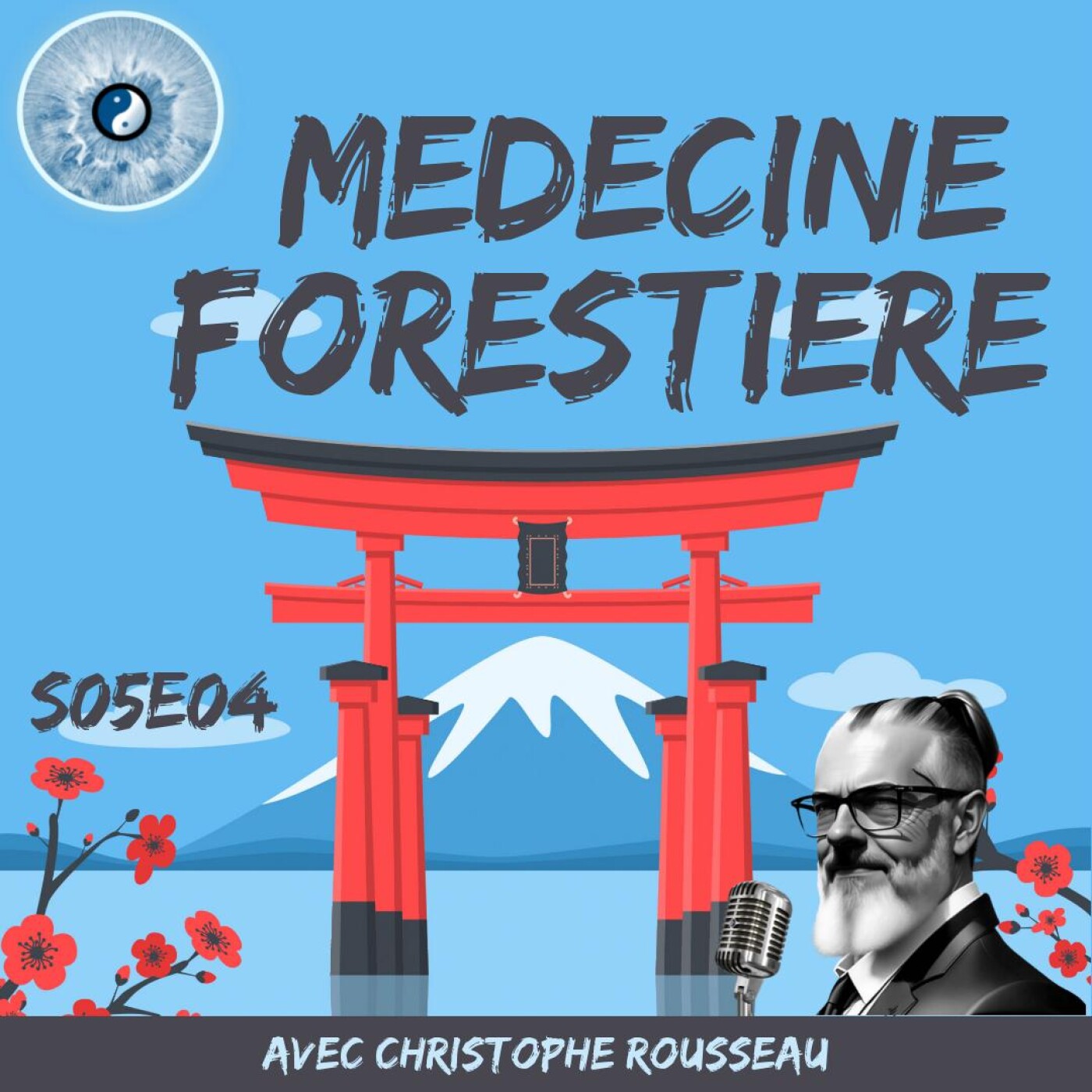 Médecine forestière : les effets des bains de forêt (Shinrin Yoku) sur la santé humaine