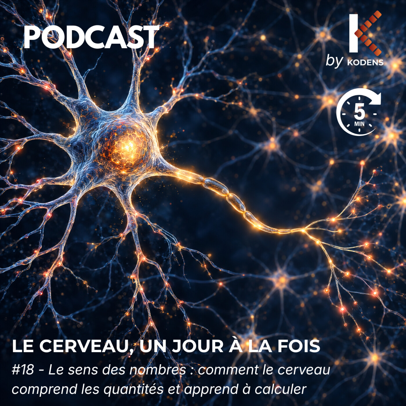 Épisode #18 — Le sens des nombres : comment le cerveau comprend les quantités et apprend à calculer episode artwork