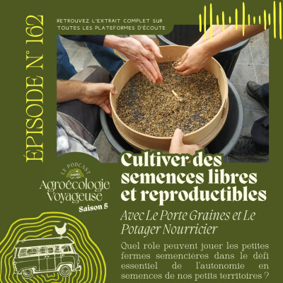 #162 Les semences libres et reproductibles 🍆🌻 Thibault et Arno, maraîchers semenciers cover