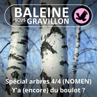 SPÉCIAL ARBRES 4/4 : Y'a du bouleau ! (NOMEN) cover