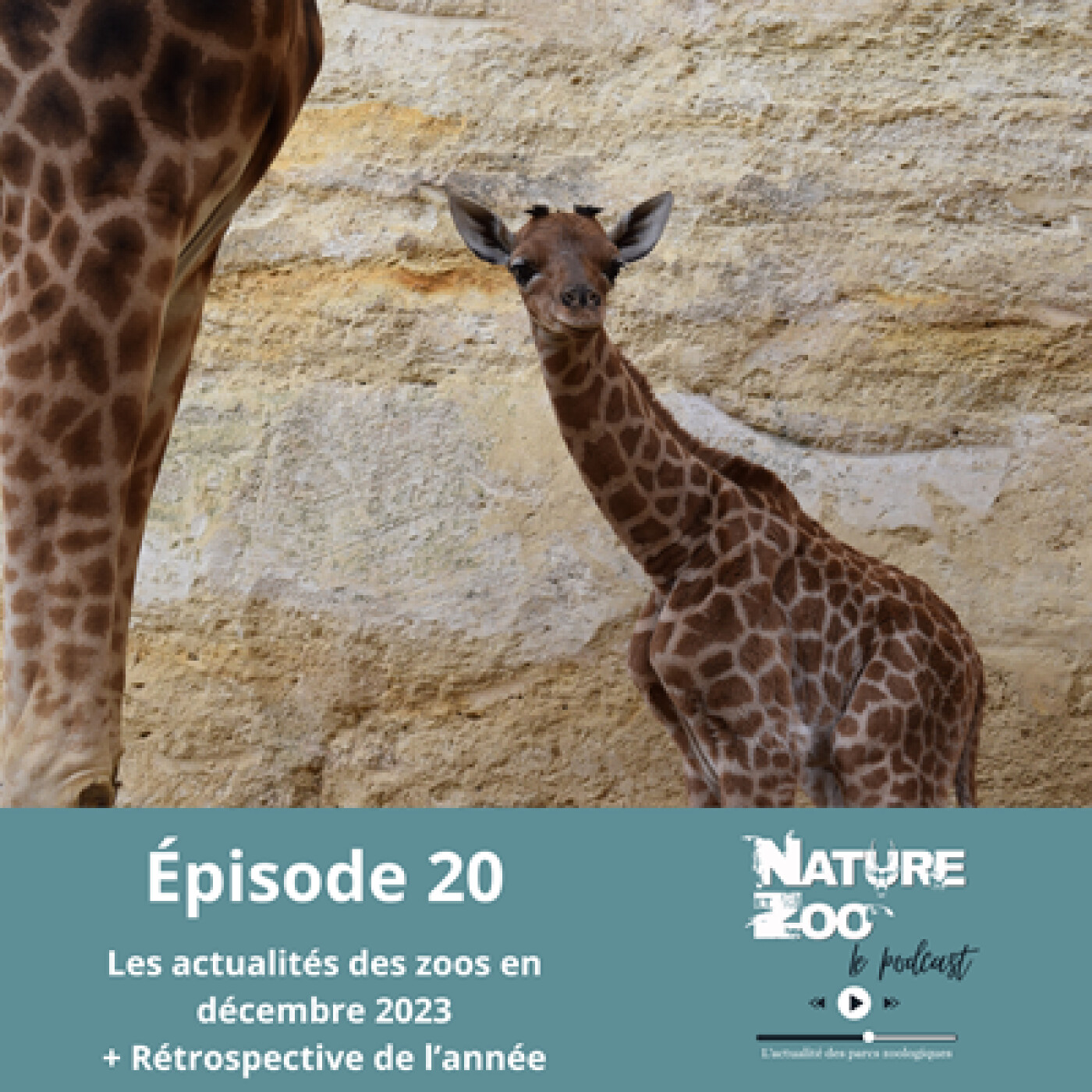 Épisode 20 (ACTU) - Les actualités en décembre 2023 + Rétrospective de l'année écoulée avec Mathieu episode artwork