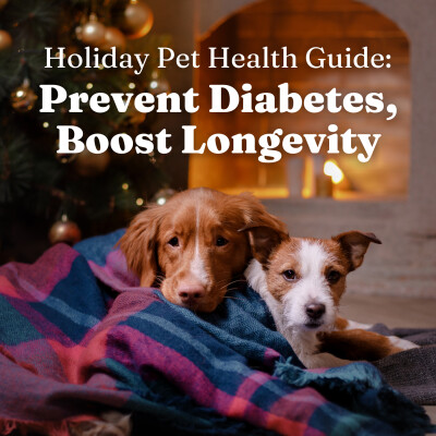Holiday Pet Health Guide: Prevent Diabetes, Boost Longevity for Your Dog and Cat cover
