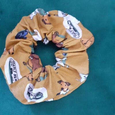 Les coutures de Léo et le Koala cover