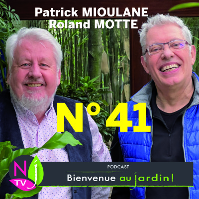 EMISSION #41 du 5 FEVRIER 2022 - L'INTEGRALE cover