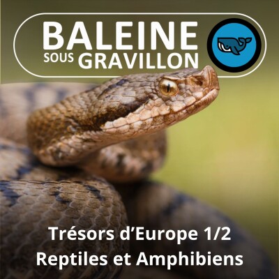 S05E03 Trésors d'Europe 1/2 : Amphibiens et Reptiles (Olivier Marquis) cover