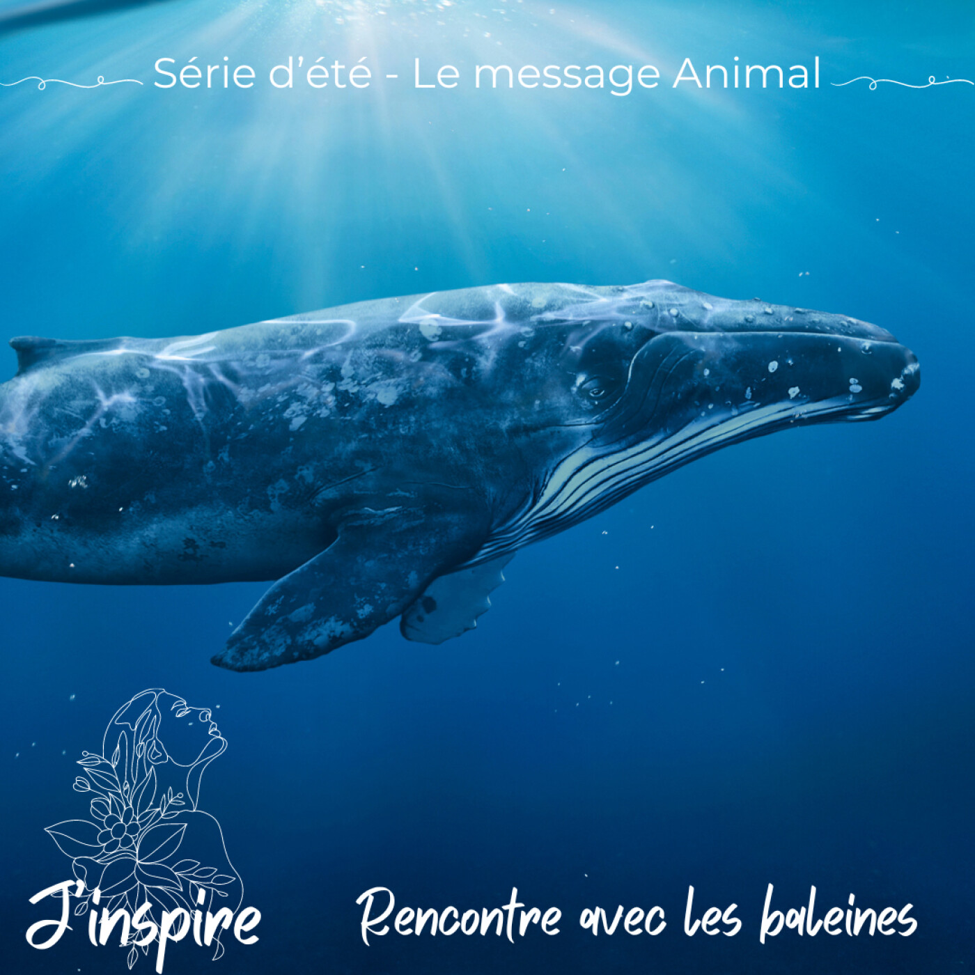 J\'inspire