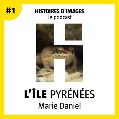 #1 - L'Île Pyrénées cover