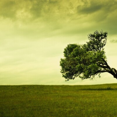 [Conférence] L'histoire du Prophète Adam (partie 1) cover