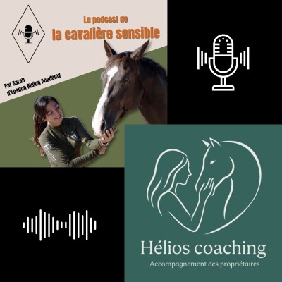 Interview : charge mentale des cavalières & propriétaires cover