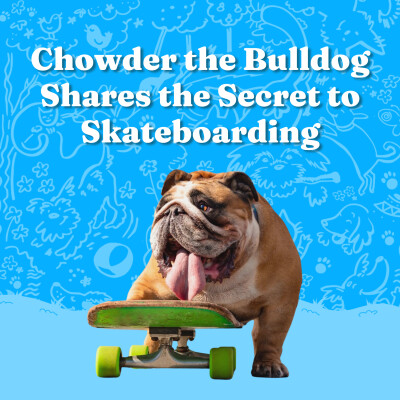 Chowder the Bulldog Shares the Secret to Skateboarding cover