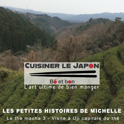 LES PETITES HISTOIRES DE MICHELLE - Le thé macha 3 - Visite à Uji, capitale du thé au Japon cover