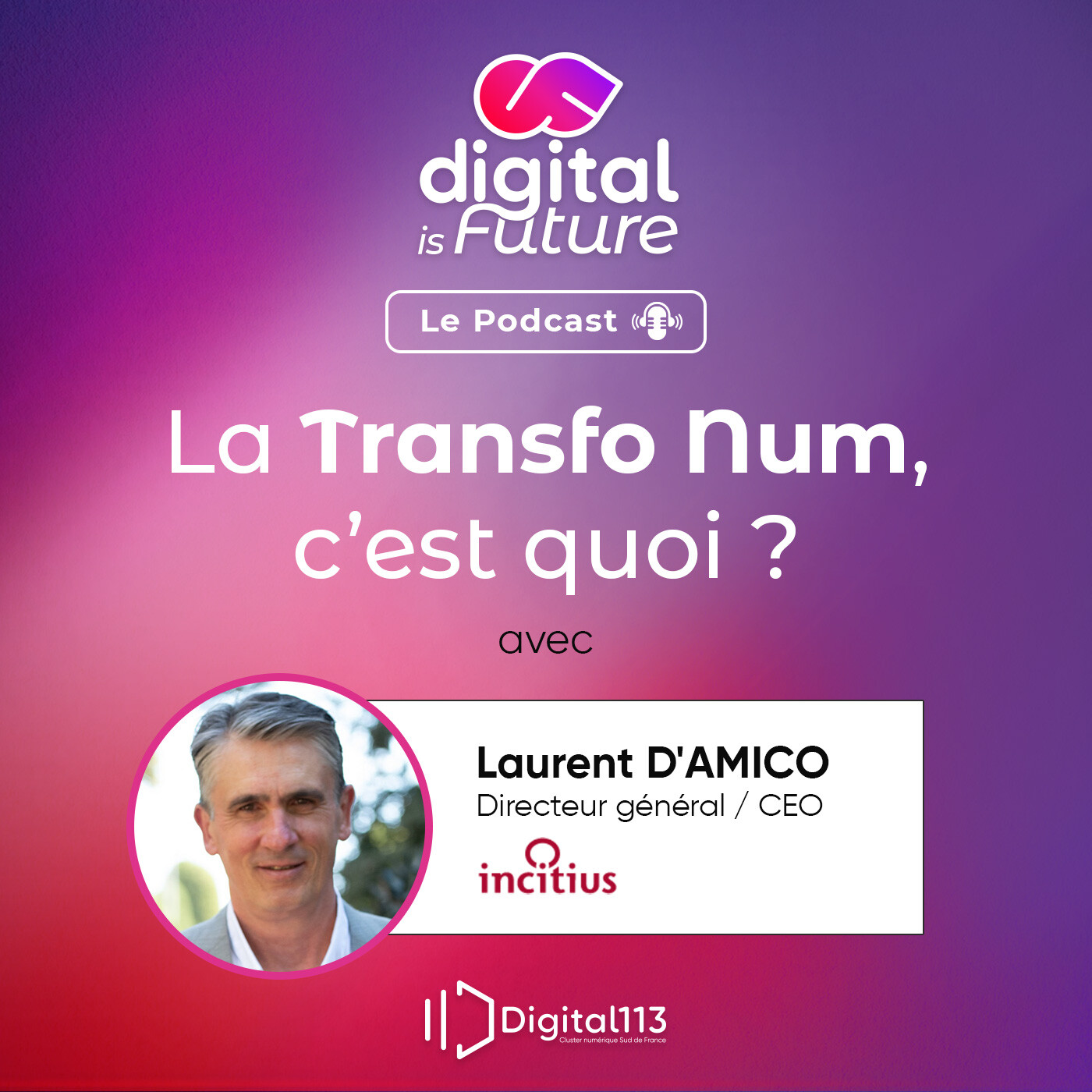 #1.  Comment digitaliser des opérations critiques sur un site industriel classé Seveso ? - Laurent D'Amico episode artwork