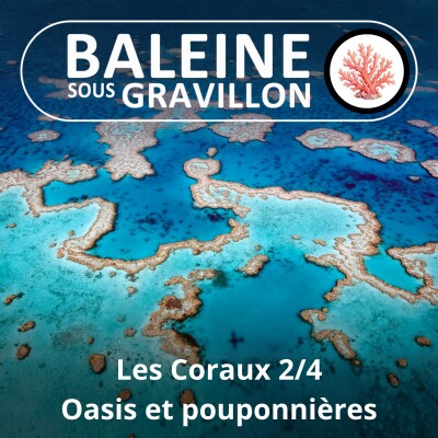 S04E61 Les Coraux 2/4 : Oasis et pouponnières des océans cover