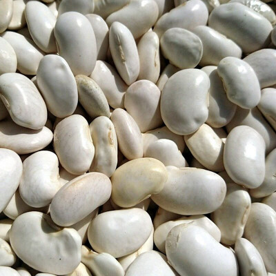 Episode - 15 - Des variantes au potage haricots blancs et secs cover