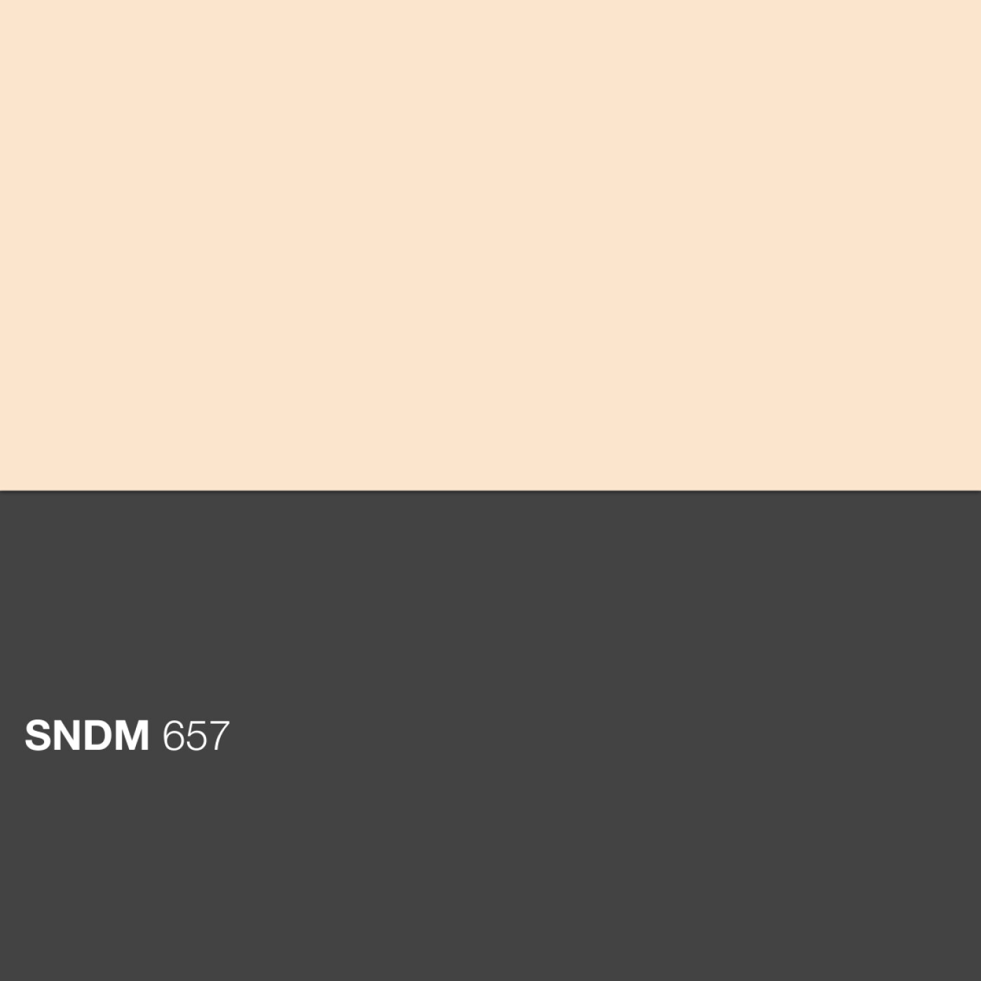 SNDM