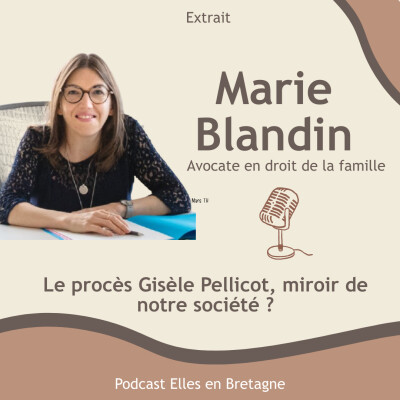 [Extrait] Le procès Gisèle Pellicot, miroir de notre société ! cover