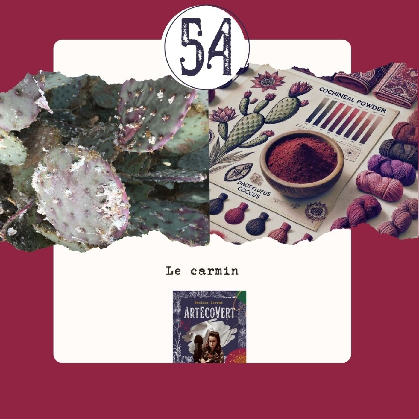 ArtEcoVert La voix de la couleur végétale et des plantes tinctoriales