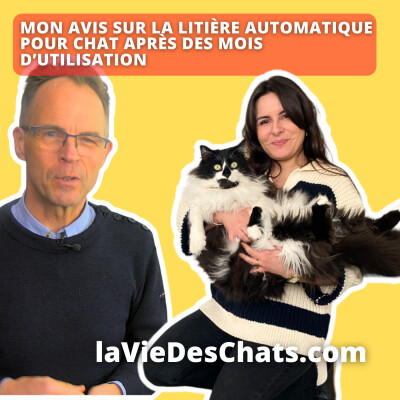 Mon avis sur la litière automatique pour chat après des mois d'utilisation cover