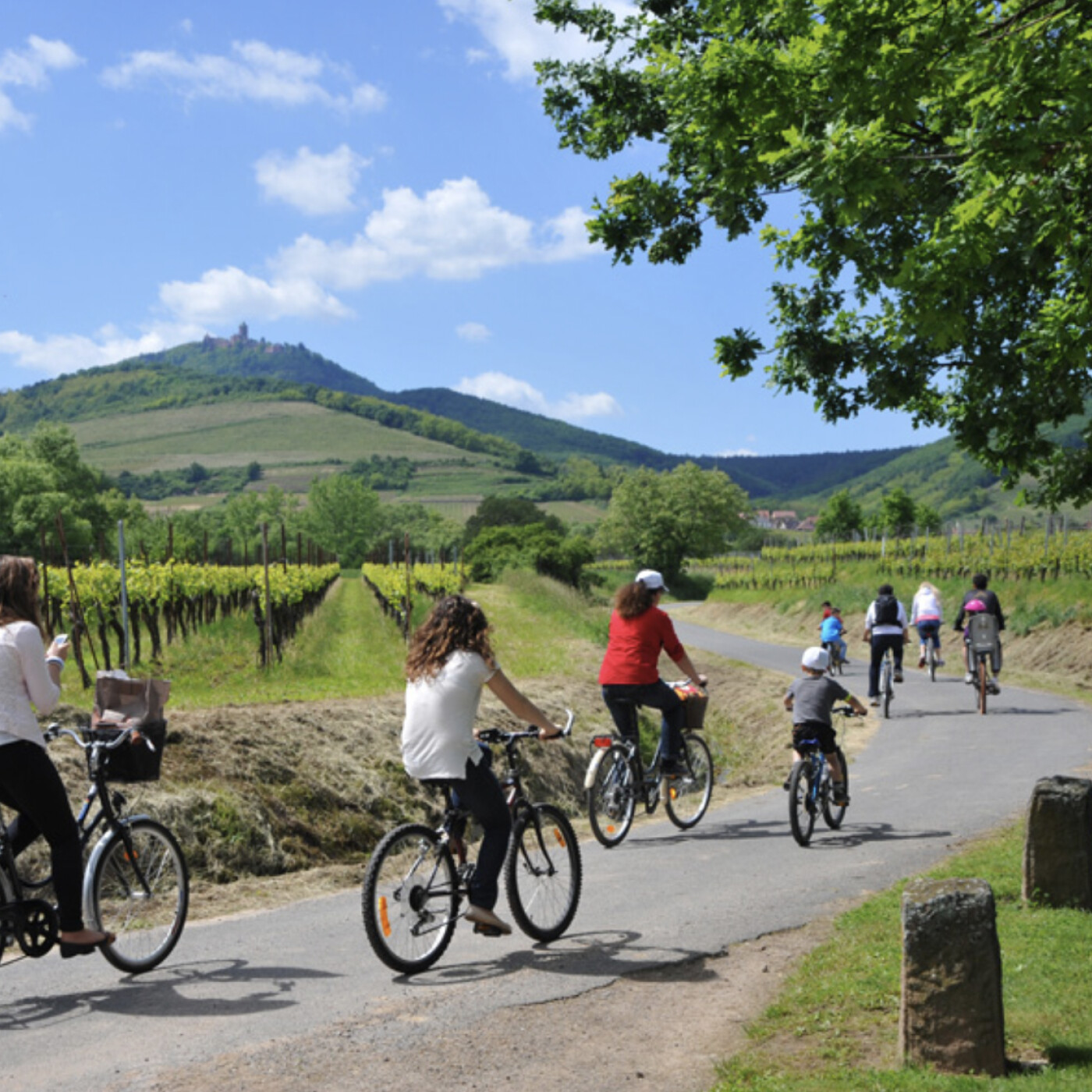 Kintzheim : Isabelle Ferreira, Directrice de l’Office de Tourisme  Sélestat et Haut-Koenigsbourg dévoile les activités sur les parcours episode artwork