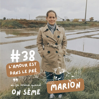 Marion : une nouvelle vie au rythme des marées cover