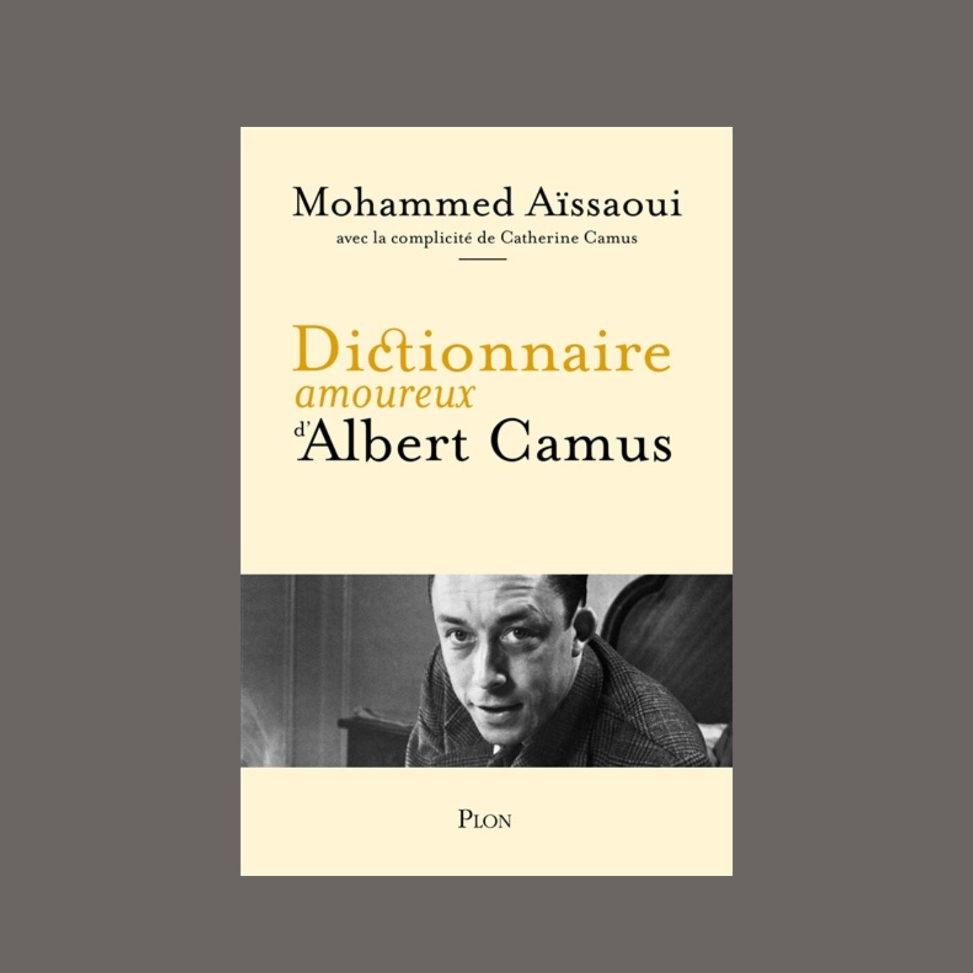 Pierre Assouline et Mohammed Aïssaoui - Dictionnaire amoureux