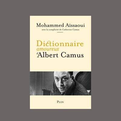 Pierre Assouline et Mohammed Aïssaoui - Dictionnaire amoureux cover