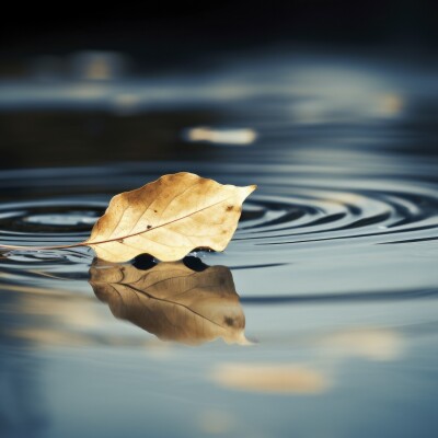 S2E11 - La météo intérieure cover