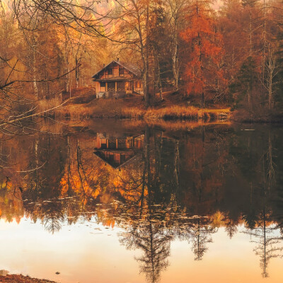 Hypnose Transpersonnelle® 301 : Solitude et manque affectif, Oubli, Accéder à ses émotions cover