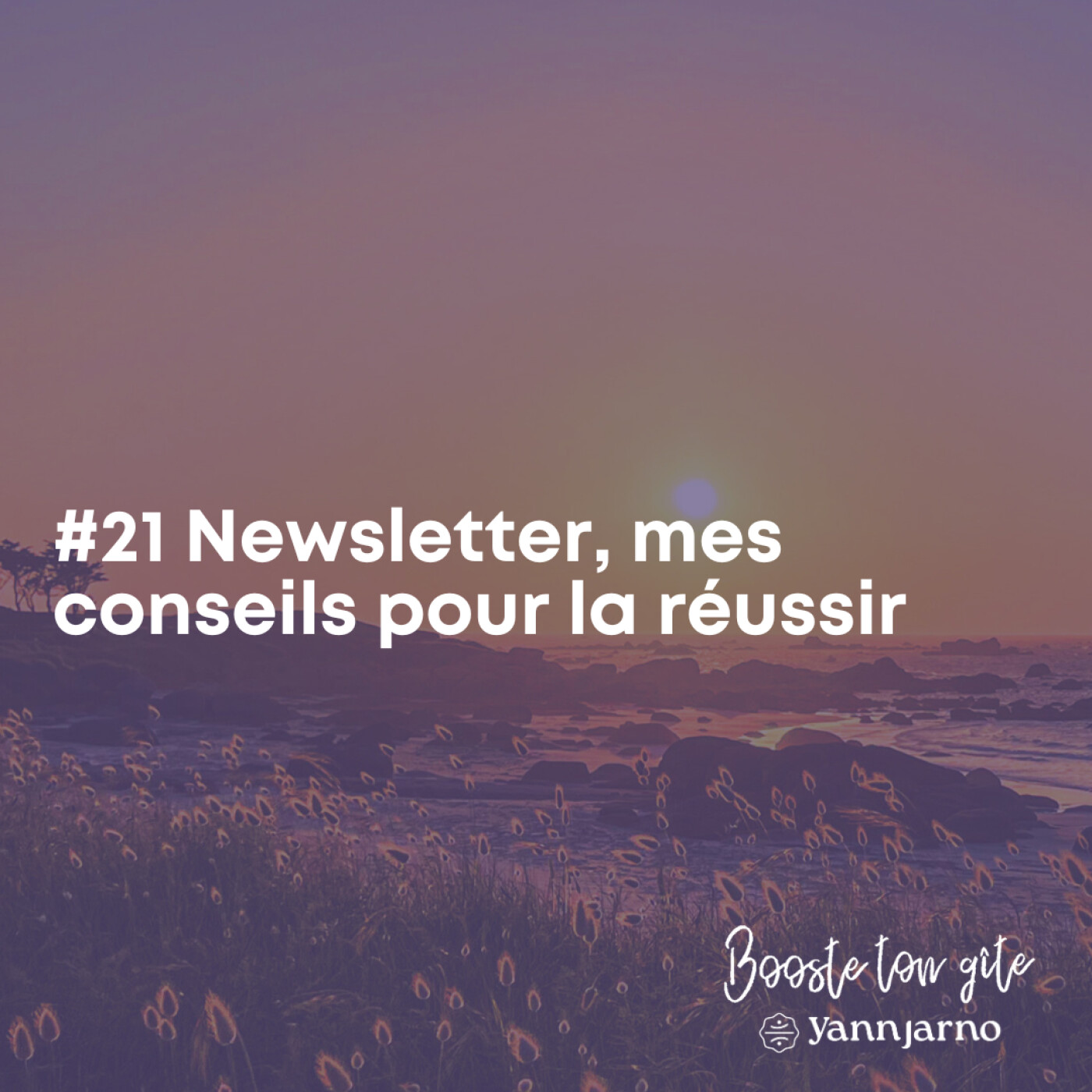 #21 Newsletter, mes conseils pour la réussir