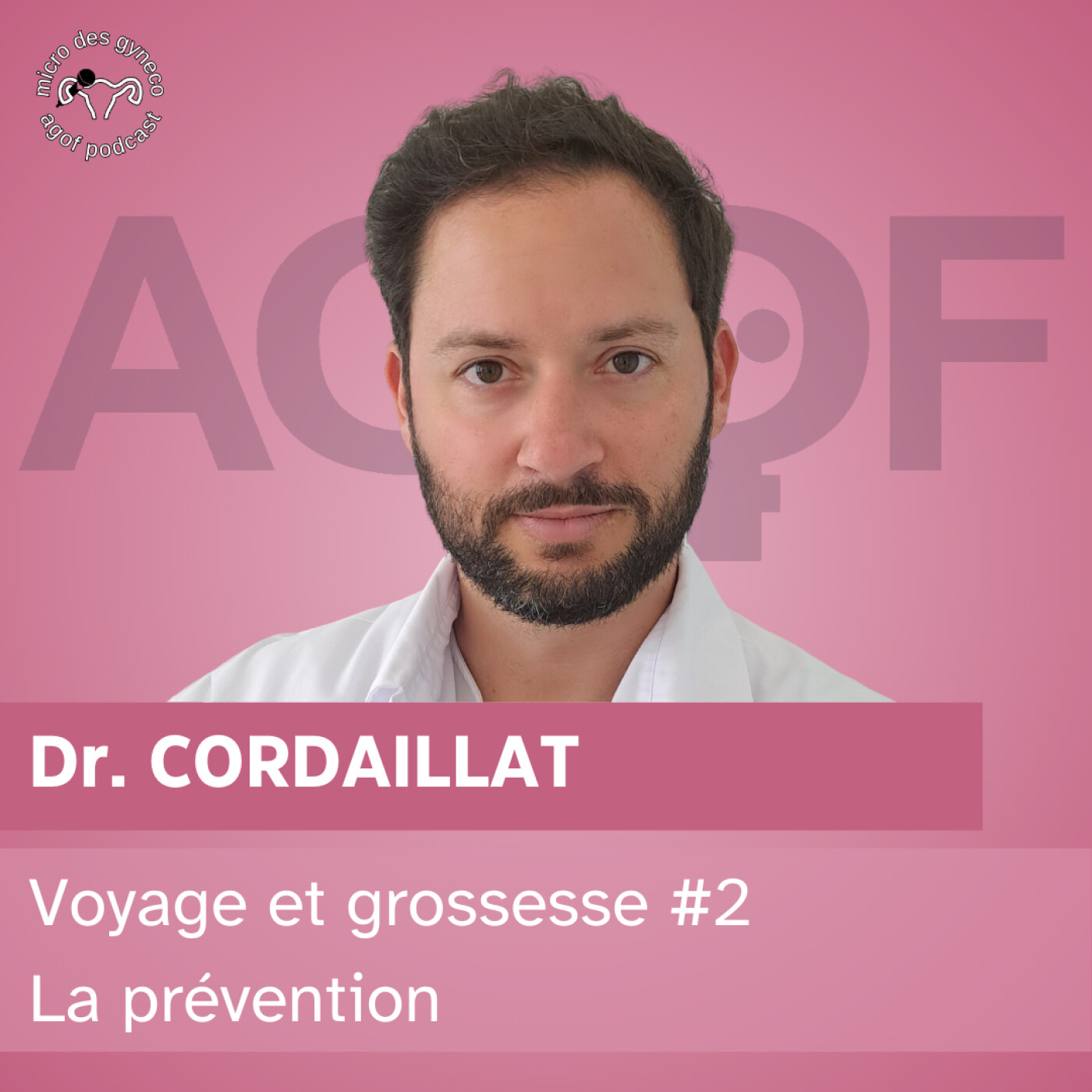 Voyage et grossesse: Prévention Voyage et grossesse: Prévention