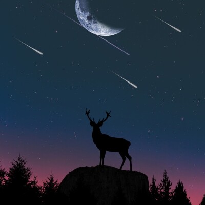 Des étoiles plein les yeux ! cover