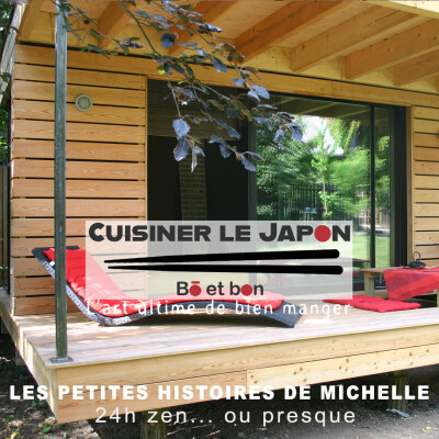 LES PETITES HISTOIRES DE MICHELLE - 24h zen... ou presque cover