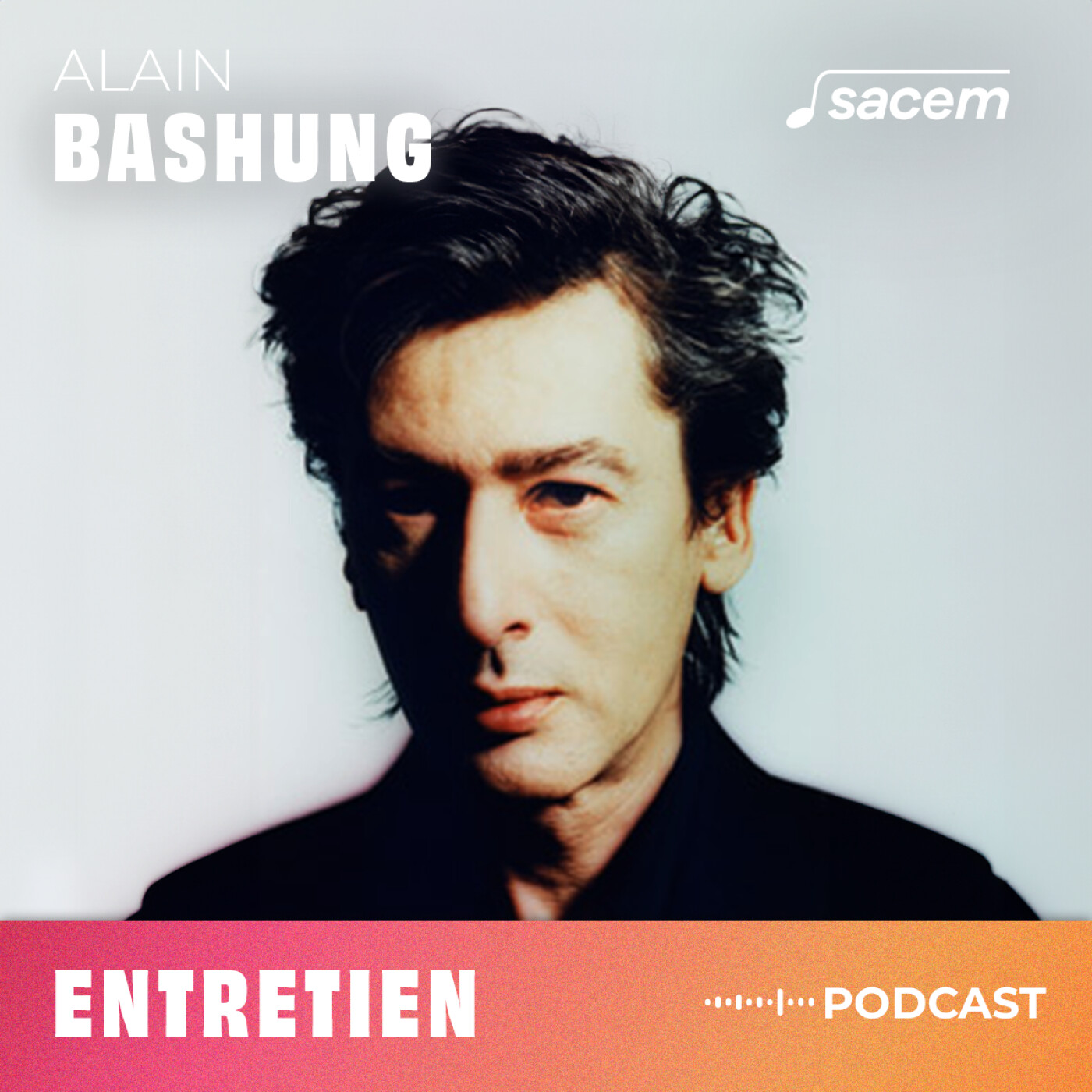 Alain Bashung : l'artiste et sa quête musicale (2008)