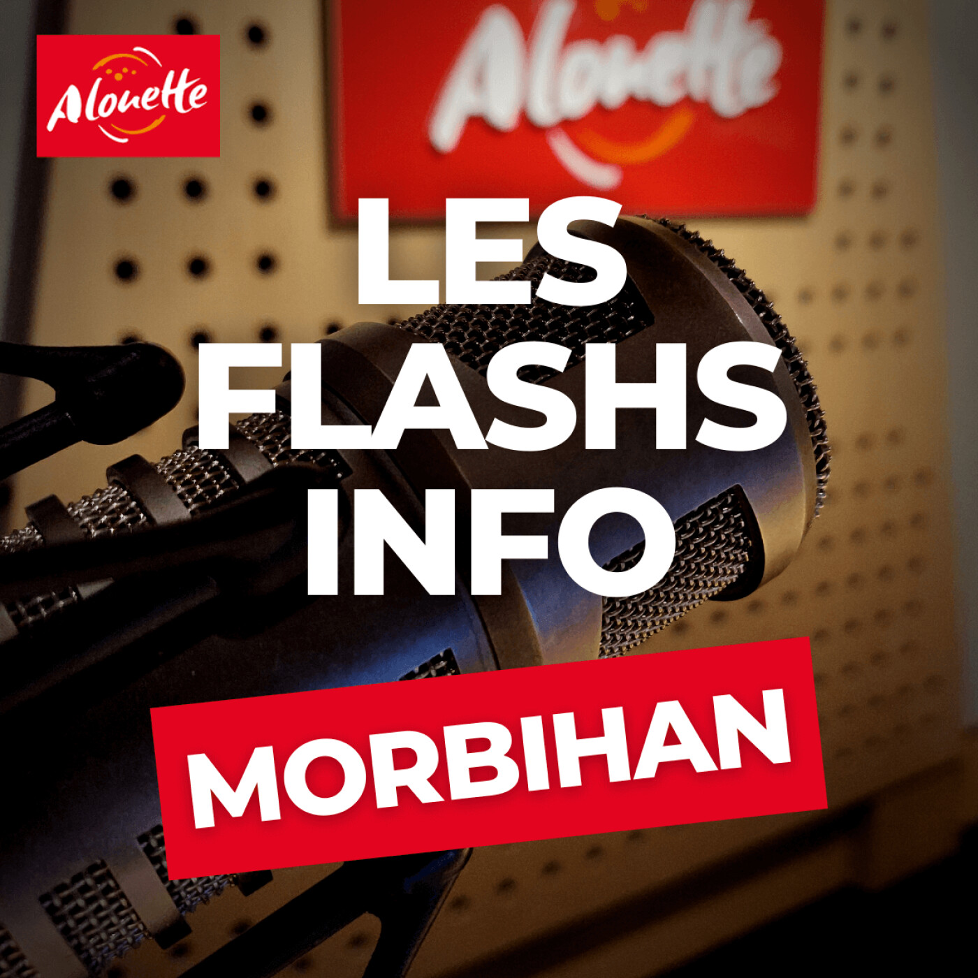 Alouette - Les Infos du 15 Mars 17h00 dans le Morbihan.