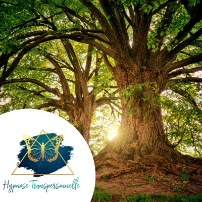 Hypnose Transpersonnelle® 236 : Druide incarnant un Arbre, Sagesse Ancestrale, Gaïa cover