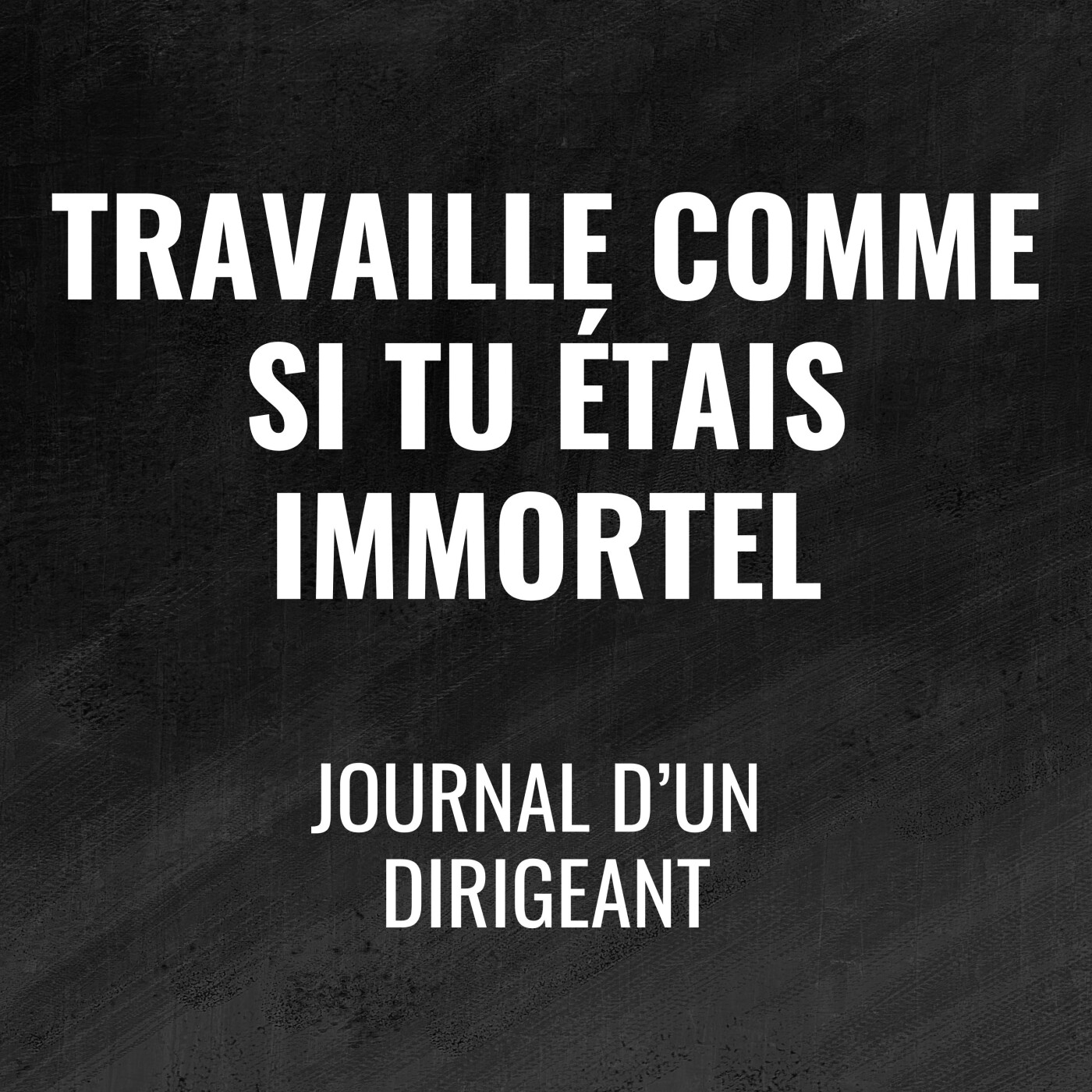 486 - Travaille comme si tu étais immortel - Journal d'un dirigeant