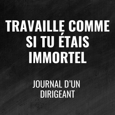 486 - Travaille comme si tu étais immortel - Journal d'un dirigeant cover